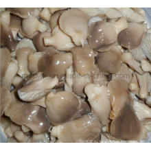 Гриб консервированный гриб Abalone с дешевой цене